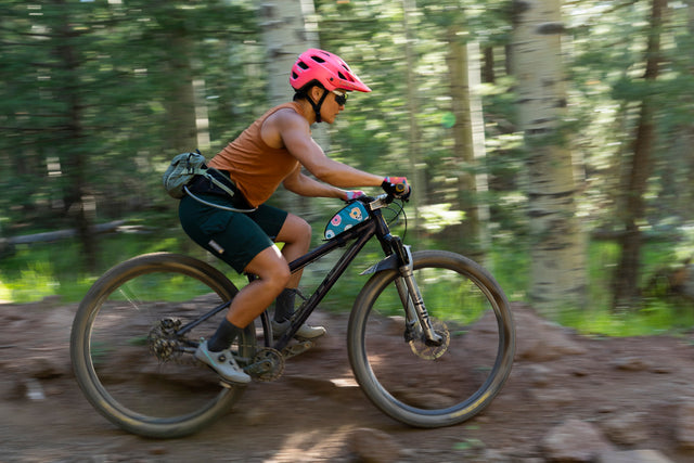 Alamo Top Tube Bag in action near Flagstaff, Arizona
