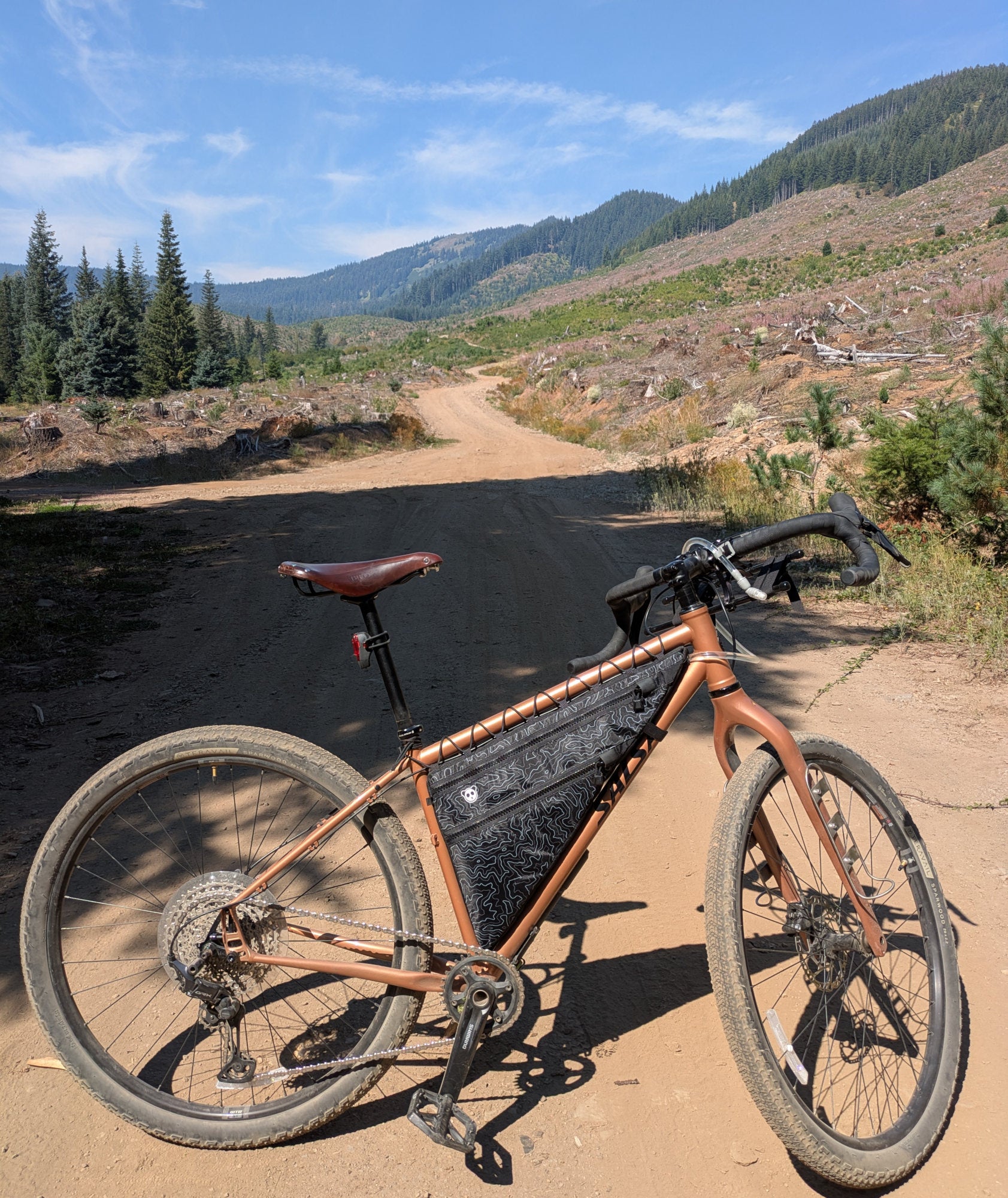 Salsa Fargo Frame Bag Guide – RoguePandaDesigns