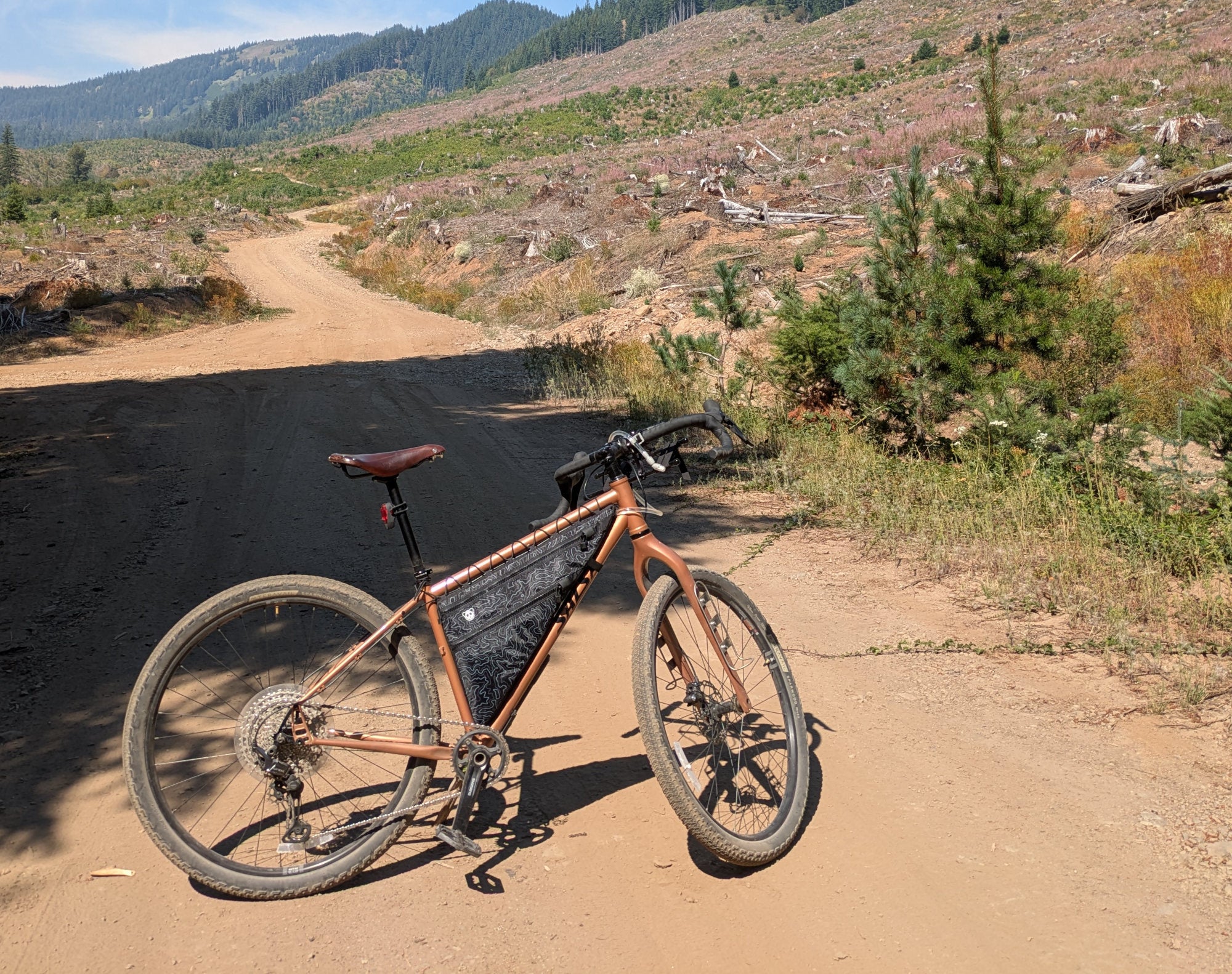 Salsa Fargo Frame Bag Guide – RoguePandaDesigns